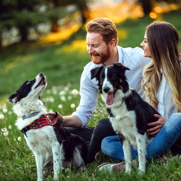 couple-playing-with-their-dogs-in-the-park.jpg