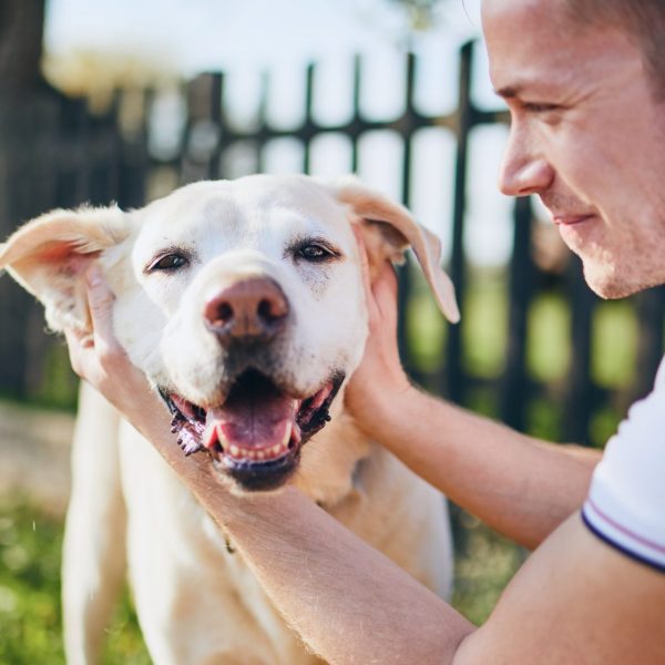 happy-dog-and-his-owner.jpg