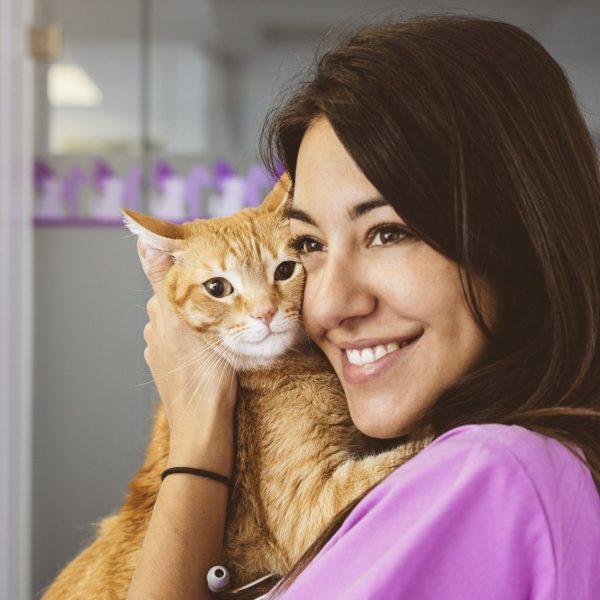 veterinarian-doctor-hugging-a-little-cat-.jpg