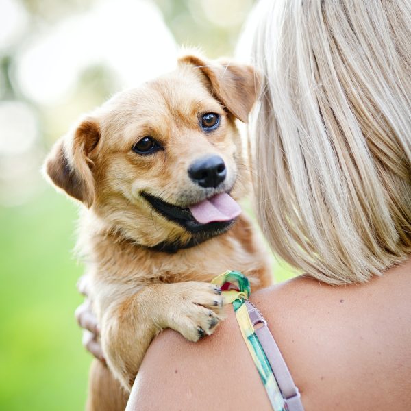 woman-playing-with-dog.jpg
