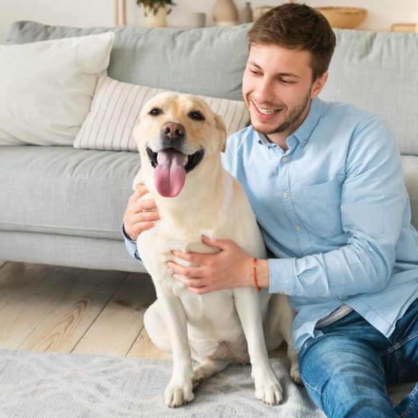 young-happy-man-hugging-dog-sitting-on-floor.jpg